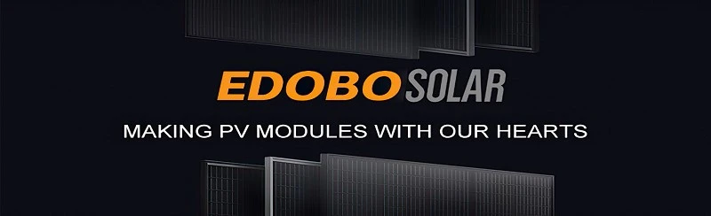 product-800-244 product-800-244